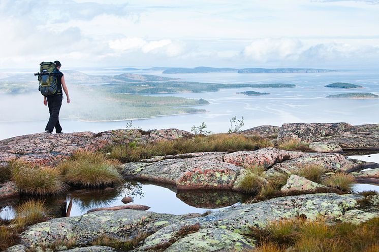 Vandring i Skuleskogen nationalpark