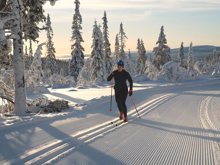 SkiStar XC Arena Vemdalen Charlotte Kalla