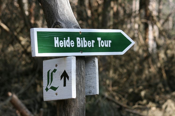 Heide-Biber-Tour 
