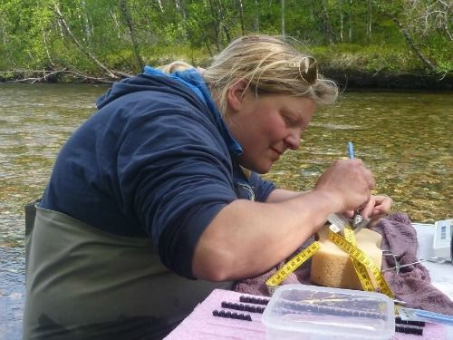 Merkeforsøk Jenny Jensen, Akaplan-niva