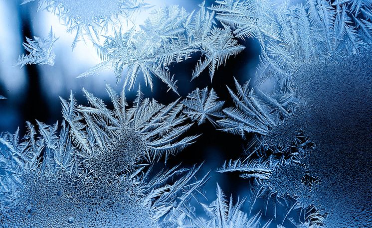 Frost osman-rana