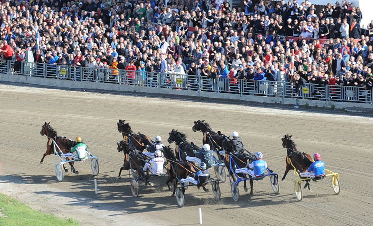 Elitloppet i sista sväng