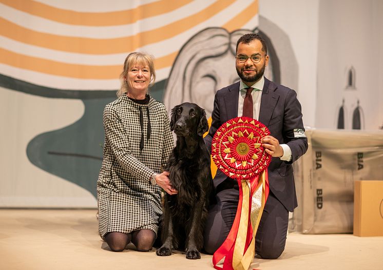 Best in Show Stockholm Hundmässa 2023 Almanza King Of The Castle. Foto Jenny Jurnelius