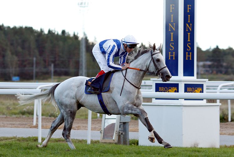 Thundering Blue vinner Stockholm Cup 2018