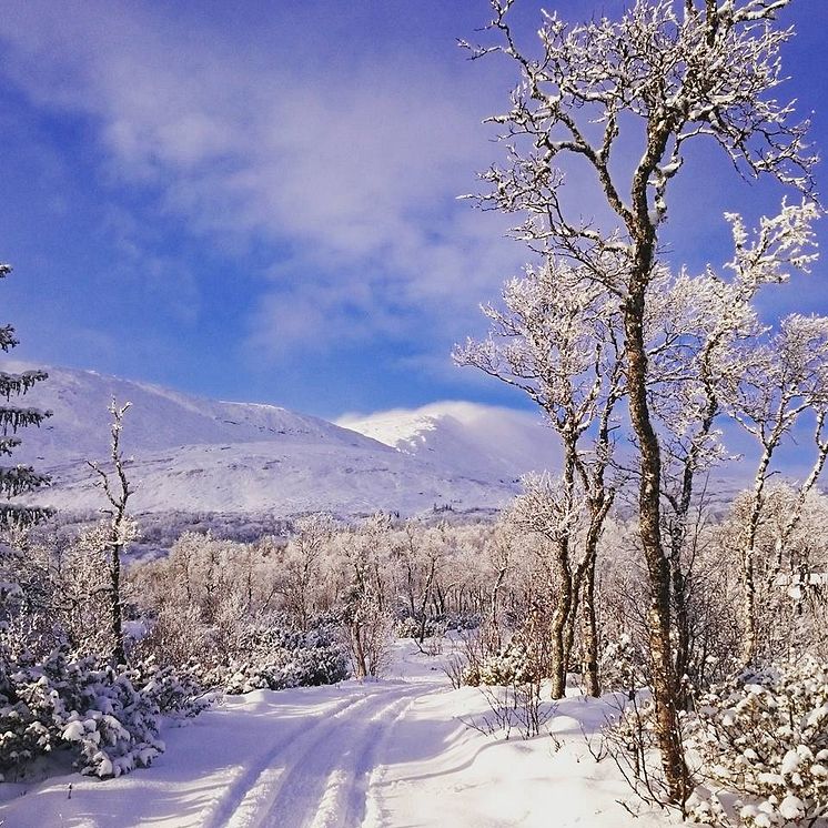 Snön har fallit i Åre