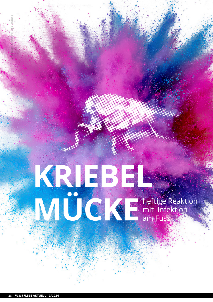 Kriebelmücke: heftige Reaktion mit Infektion am Fuß