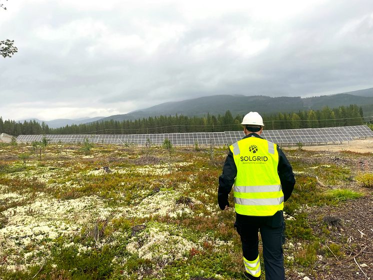 solgrid-norge-furuseth.jpg