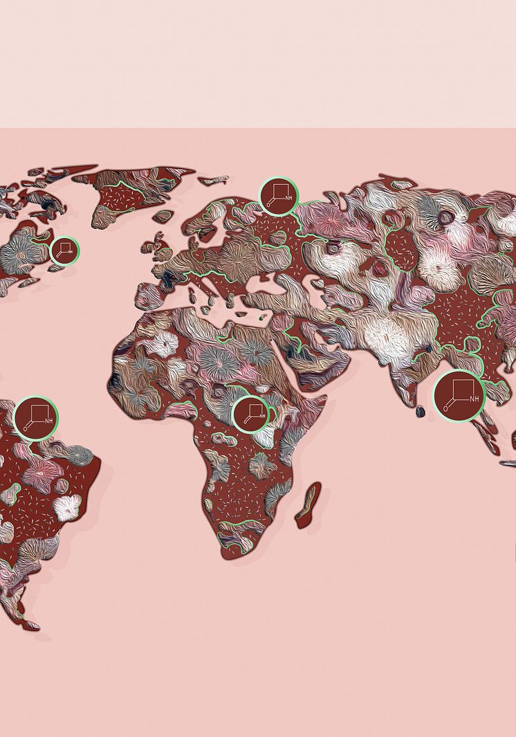 Global warfare between bacteria and fungi