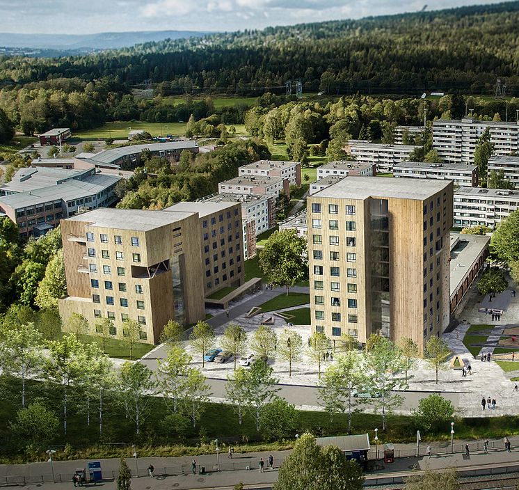 Massivtre Kringsjå Studentby