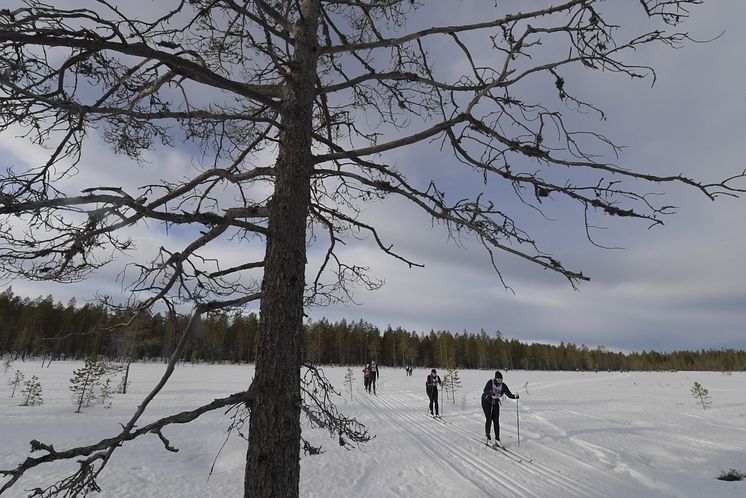 Öppet Spår måndag 2020