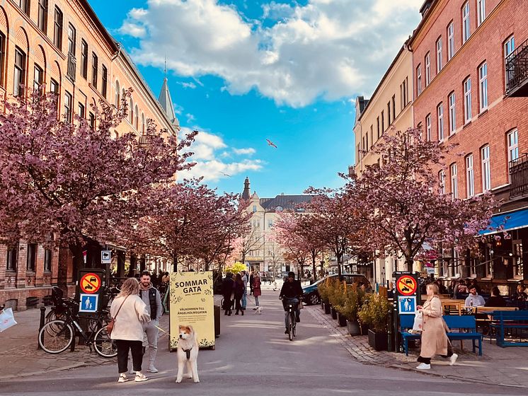 Ängelholmsgatan valborg 2023