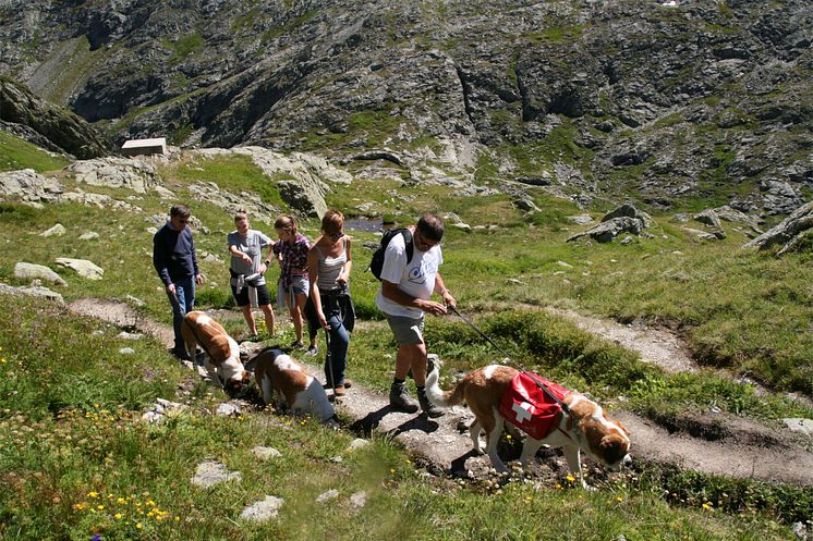 Passwanderung mit dem Bernhardiner in Martigny (Wallis)