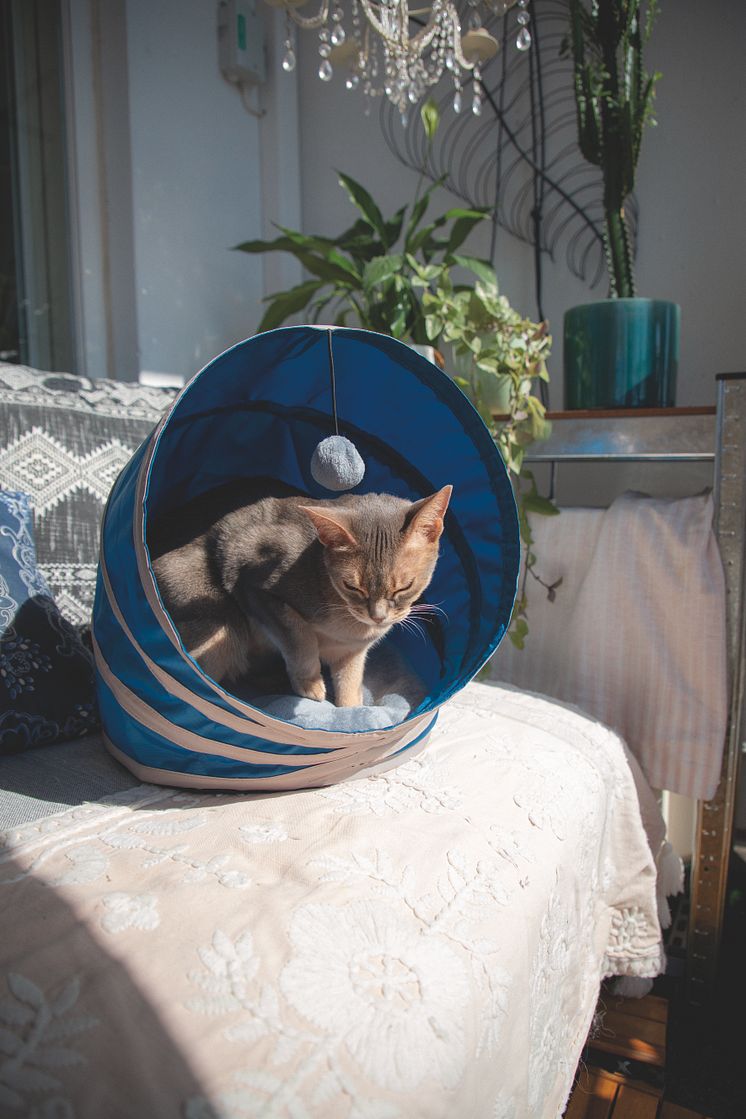 Little&Bigger Recycled PET Cat Pop-up bed_lifestyle.jpg