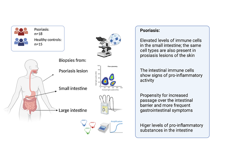 Illustration, summary