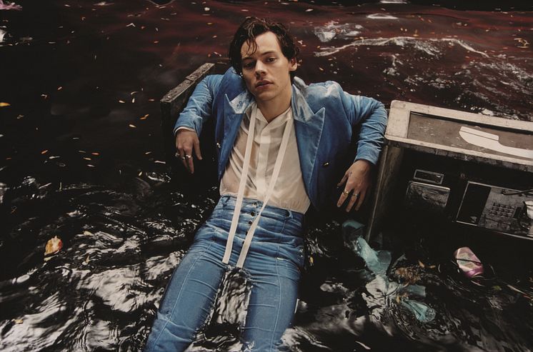 Harry Styles - pressbild 1