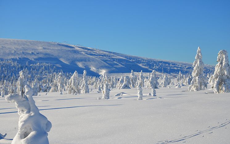 Vybild Högfjället 2014