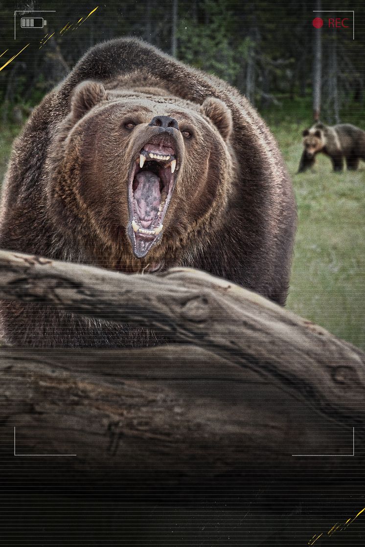 AE_Nature_Gone_Wild_2400x3600_FIN