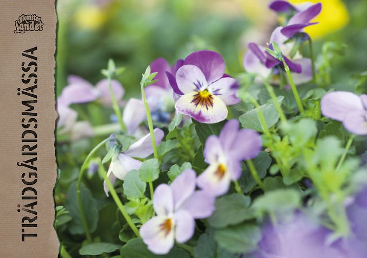 Trädgårdsmässa Blomsterlandet