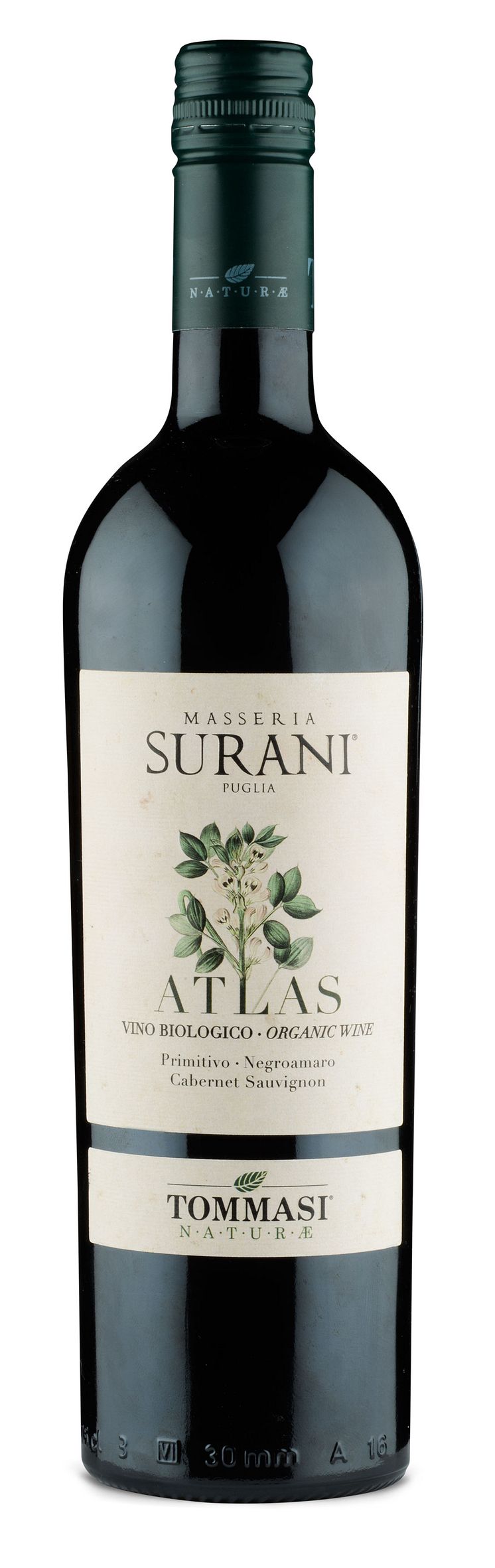 Surani_Atlas - Tommasi Naturae FR