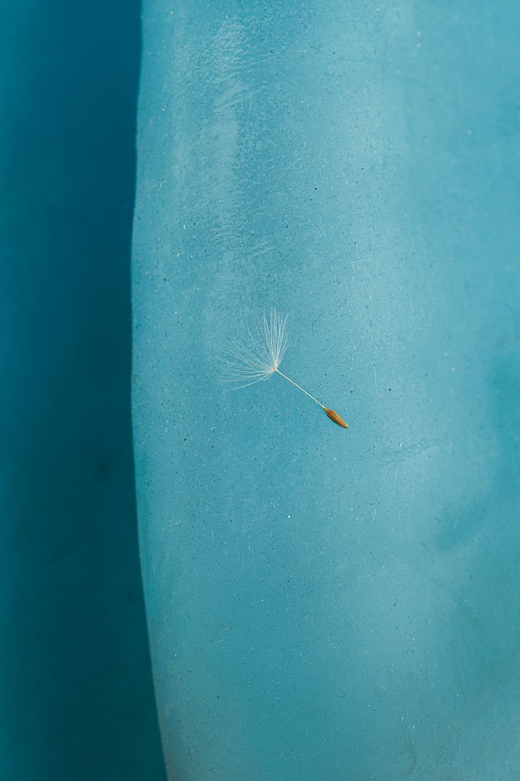 Nina Canell, Dolphin Dandelion (detalj), 2017
