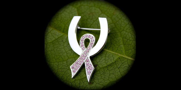 Equestrians against cancer - broschen till förmån för Bröstcancerfonden