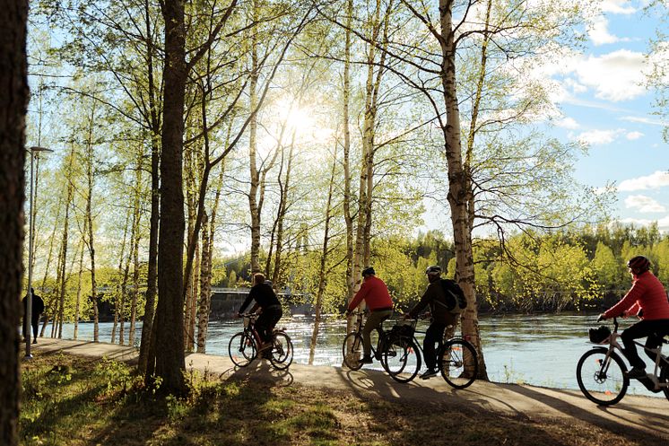 Guidad cykeltur Umeå Tours