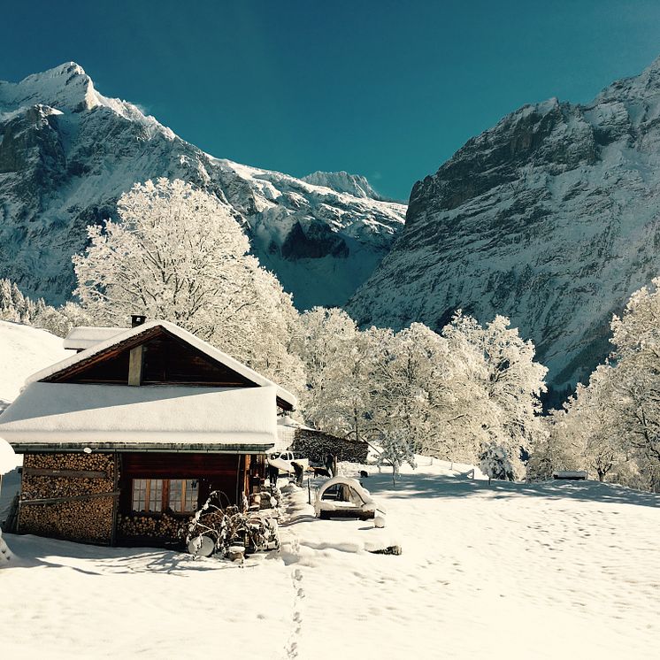 Alphütte Grindelwald 