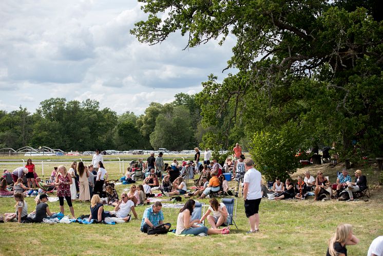 Picknick på Strömsholm