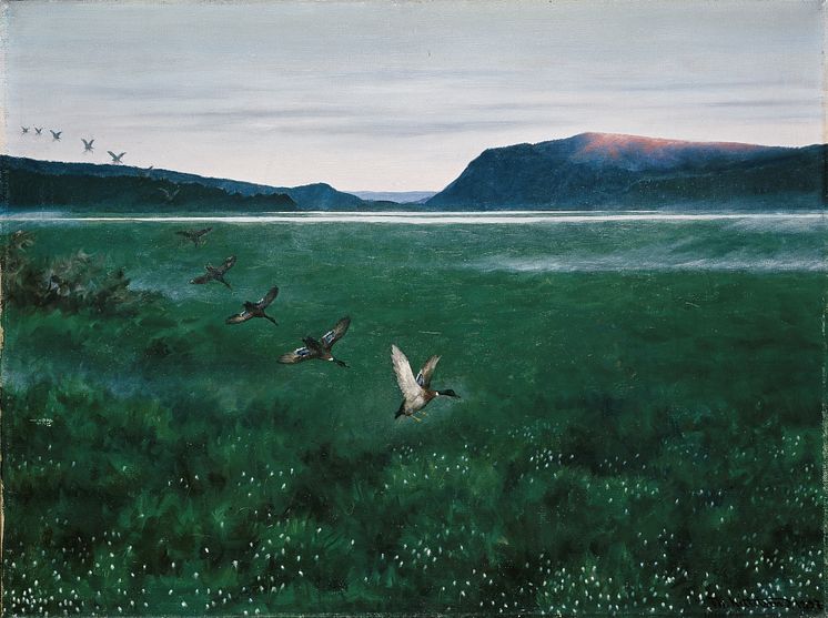 Eventyrrommet. Theodor Kittelsen, De 12 villender, 1897