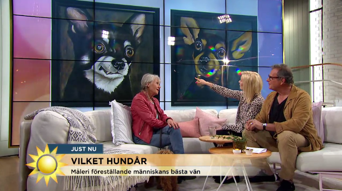 Karin Broos på TV4 Nyhetsmorgon 8 juni 2017