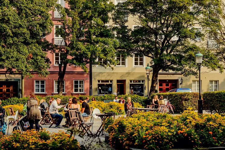 Davidhallstorg. Foto Werner Nystrand Malmö stad..jpeg