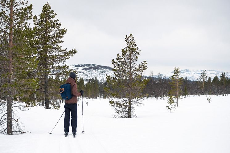 Grovelsjon_cross-countryskiing_fotoAnnaHolm_VisitDalarna