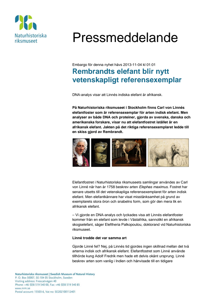 Rembrandts elefant blir nytt vetenskapligt referensexemplar