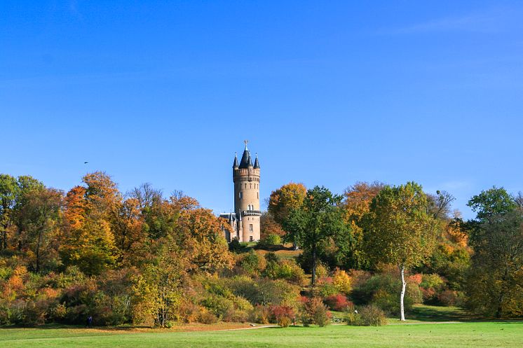 Park_Babelsberg_Flatowturm_c_TMB_Steffen_Lehmann