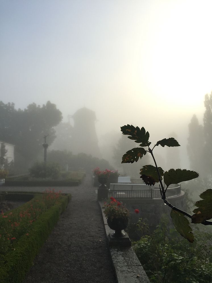 Tidig morgon i parken 