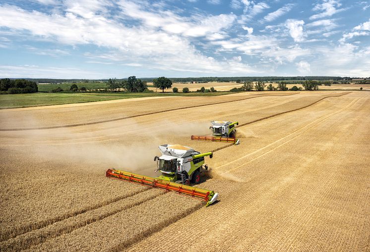 LEXION combine harvester