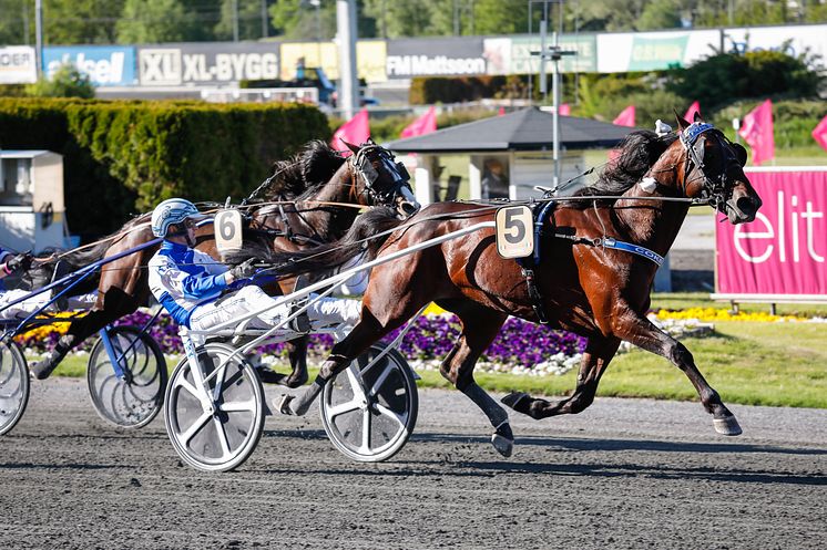 Cokstile klar för Elitloppet 2021.