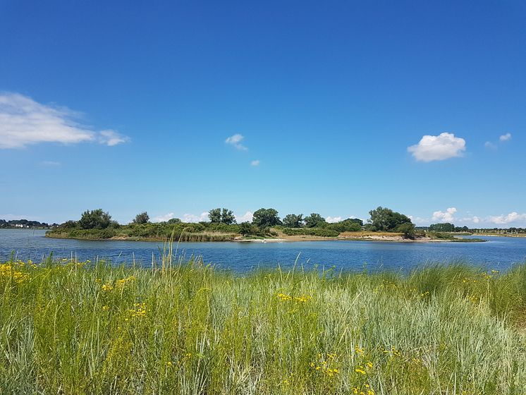 Kohlhofinsel Burger Binnensee