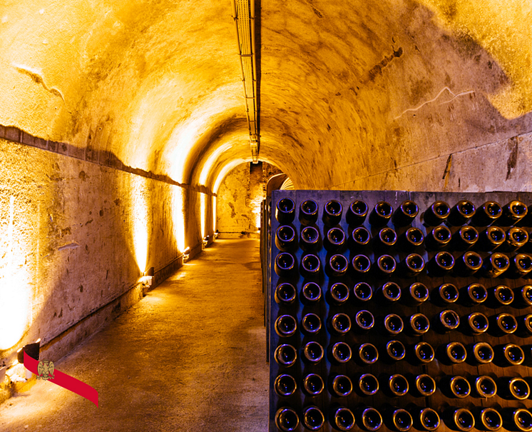 Mumm Cellar