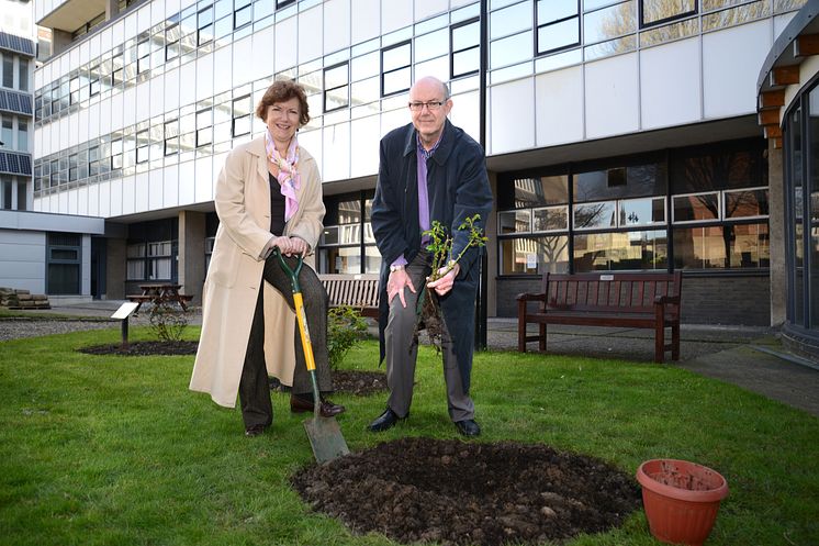 Modern slavery rose planting contributes to fight against UK slavery