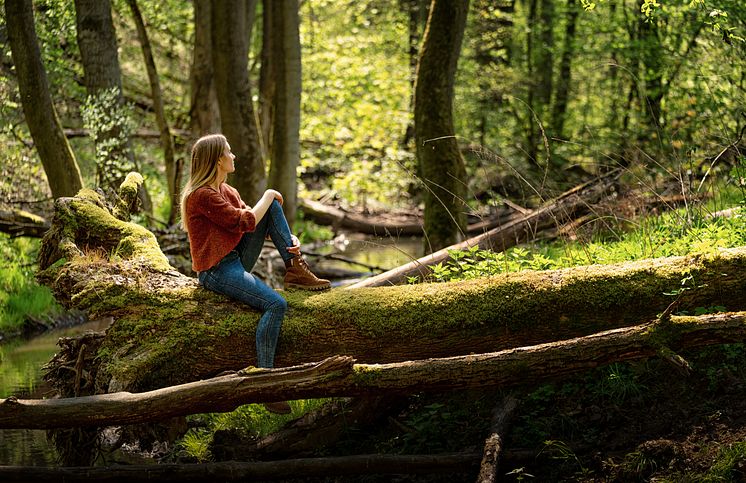 Buckow (Märkische Schweiz)_Buckow_Frau_sitzt_auf_einem_umgefallenen_Baum_in_der_Märkischen_Schweiz