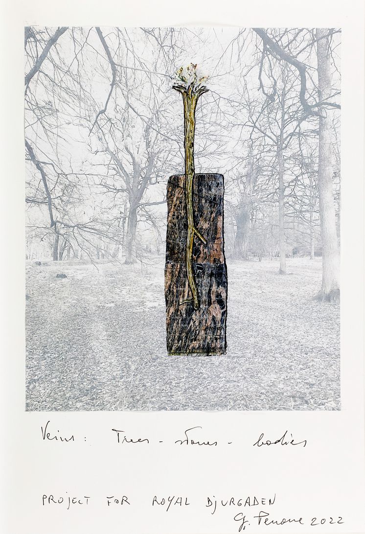 PENONE_001_Project for Royal Djurgaden_D4126_dig©Archivio_Penone.jpg