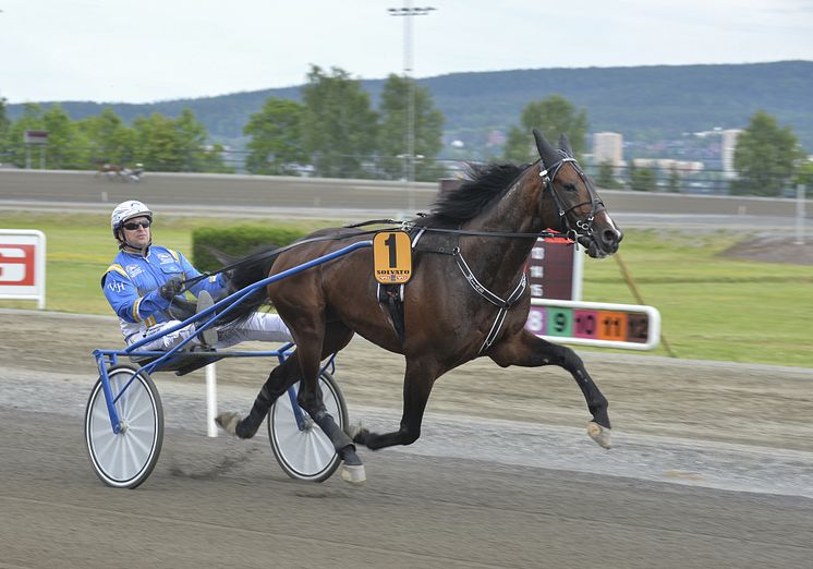 Solvato och Veijo Heiskanen