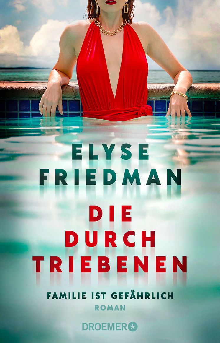 Cover_Die Durchtriebenen 2 D.jpg