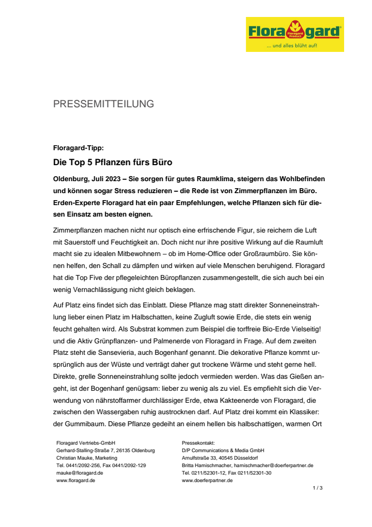 Floragard_Top Five Büropflanzen.pdf