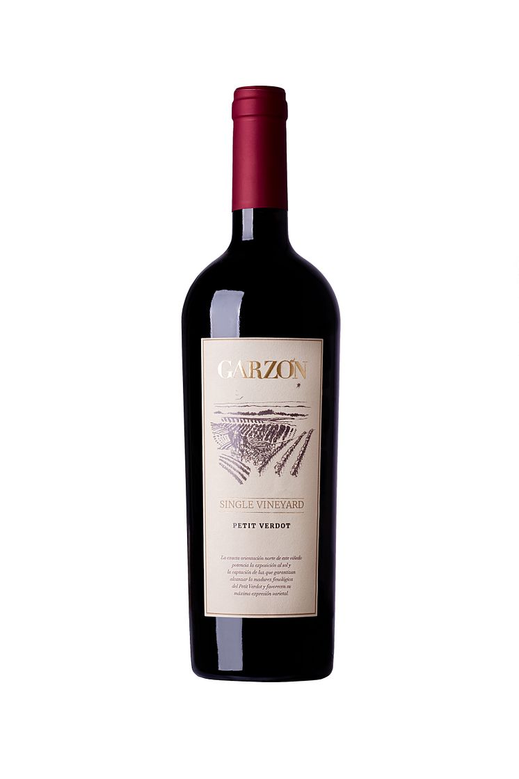 single vineyard Garzón petit verdot