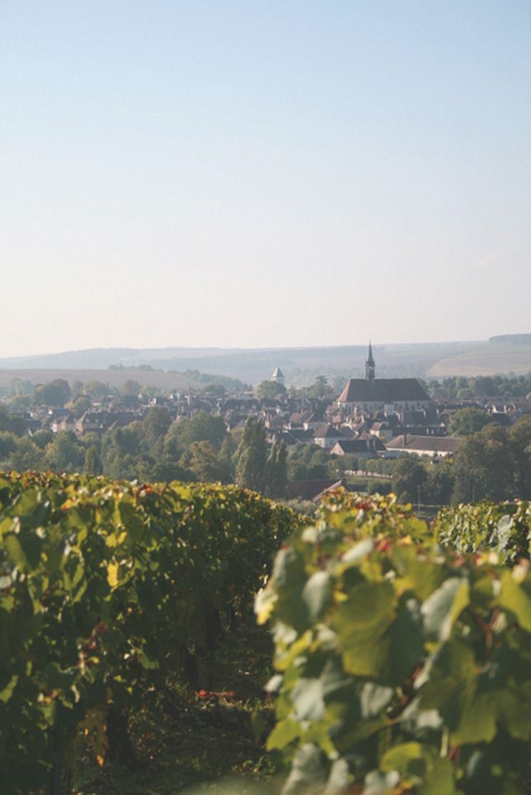 chablis_village2_hd