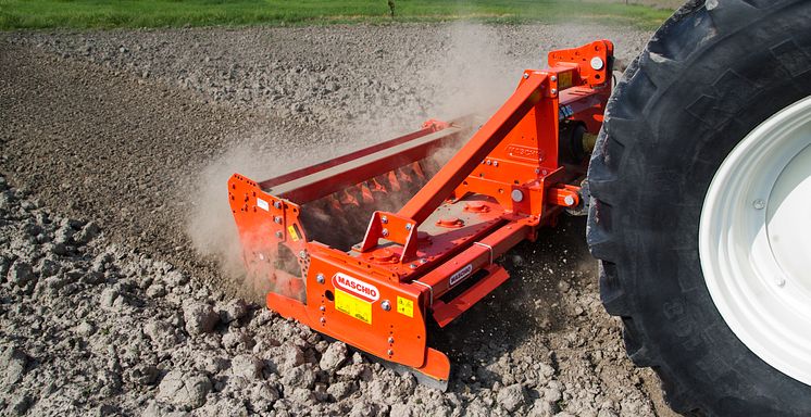 Maschio harv