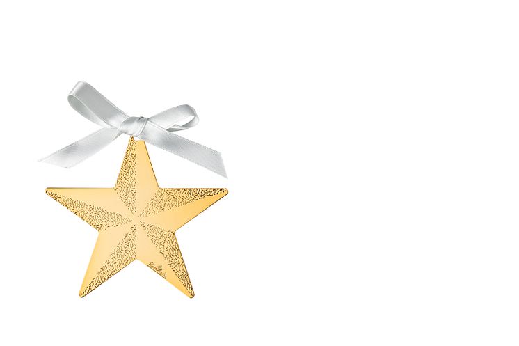R_Silver_Collection_Christmas_Gold_Star_8_cm