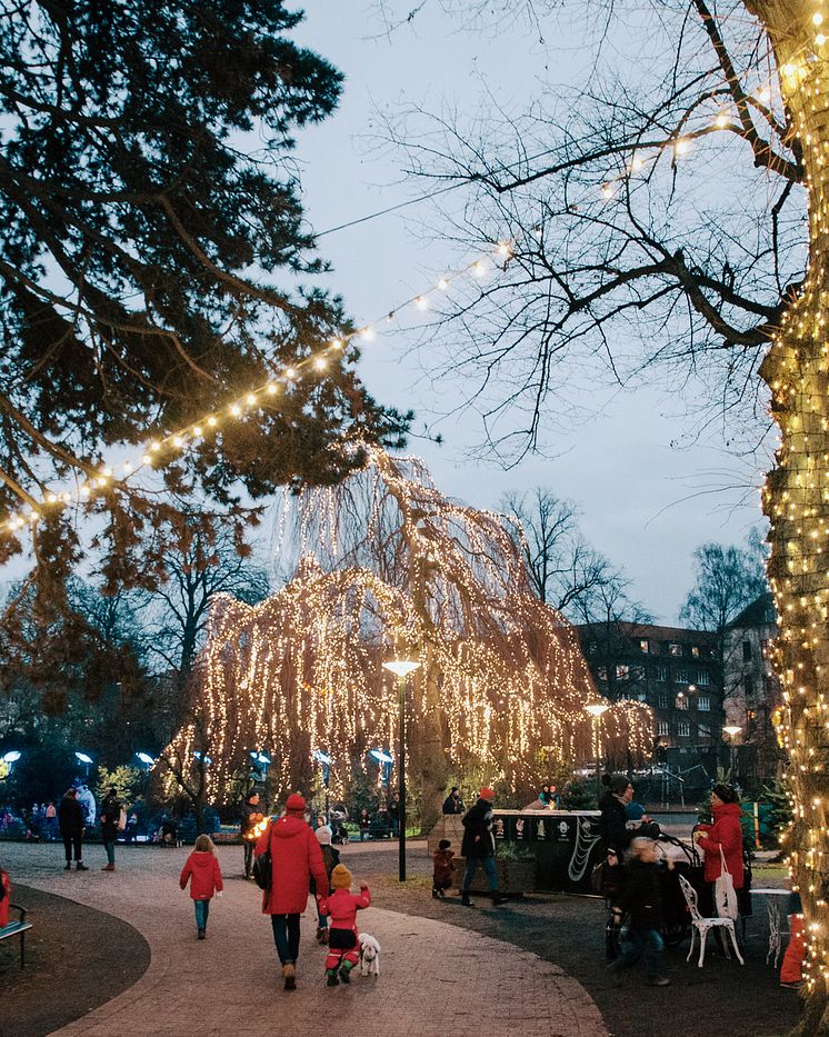 Vinterdröm i Folkets Park